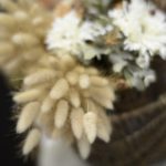 ［6］AF-S NIKKOR 58mm f1.4/G　Nikonの新レンズ