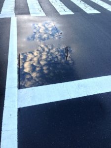 ［6］雨上がりの水たまりに立ち止まる！