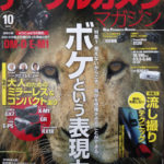 ［6］ボケという表現力　〜ボケは主役を引き立たせる名脇役〜