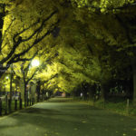 ［6］東京、外苑前に訪れた秋の風景