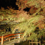 ［6］ライトアップされた伊香保温泉河鹿橋で、紅葉を満喫
