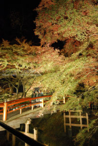［6］ライトアップされた伊香保温泉河鹿橋で、紅葉を満喫