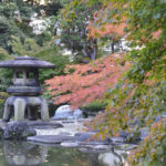 ［6］2013年紅葉、都内でもいよいよ色づき始めました！