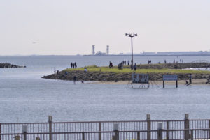 ［6］海の見える葛西臨海公園でヒューマンウォッチング