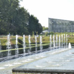 ［6］秋の薔薇、花鑑賞と共に香りを楽しむ