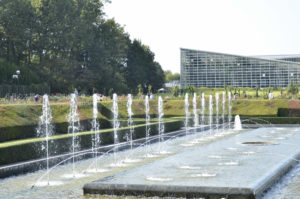 ［6］秋の薔薇、花鑑賞と共に香りを楽しむ