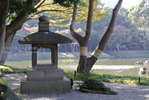 ［6］小石川後楽園で見る、東京の紅葉