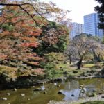 ［6］これぞ秋！紅葉の風景にうっとり。