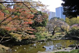 ［6］これぞ秋！紅葉の風景にうっとり。