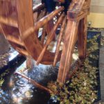 ［6］紅葉が落ち葉となって冬を迎える。。