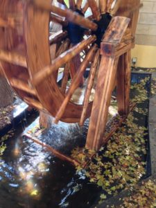 ［6］紅葉が落ち葉となって冬を迎える。。