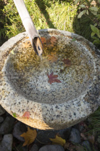 ［6］昭和記念公園で見つけた、小さい秋