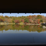 ［6］日本庭園の紅葉を光と影で楽しむ