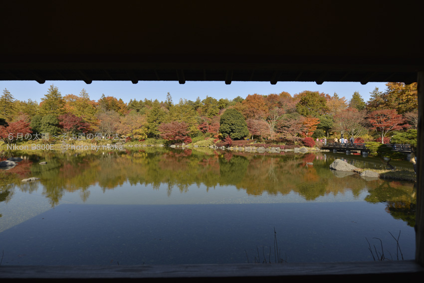 ［6］日本庭園の紅葉を光と影で楽しむ
