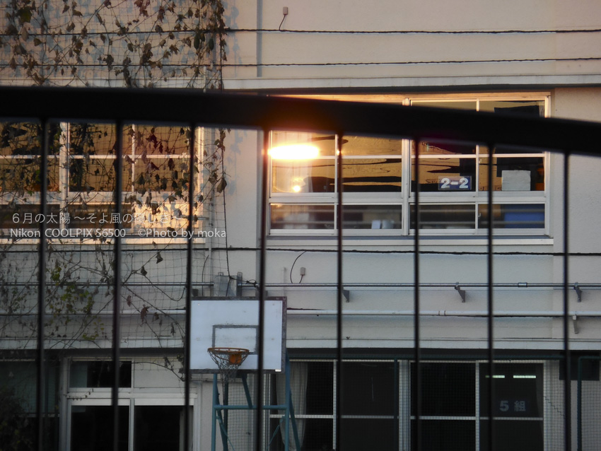 ［6］小学校の学び舎に映り込む朝日の光
