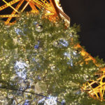 ［6］東京タワーのライトアップと、クリスマスツリーのイルミネーション