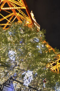 ［6］東京タワーのライトアップと、クリスマスツリーのイルミネーション