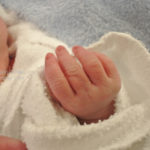 ［6］2013年を振り返る