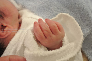 ［6］2013年を振り返る