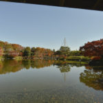 ［6］昭和記念公園の日本庭園を彩る紅葉の木々
