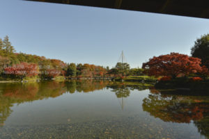 ［6］昭和記念公園の日本庭園を彩る紅葉の木々