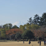 ［6］東京からも、富士山が綺麗に見える季節になりました！