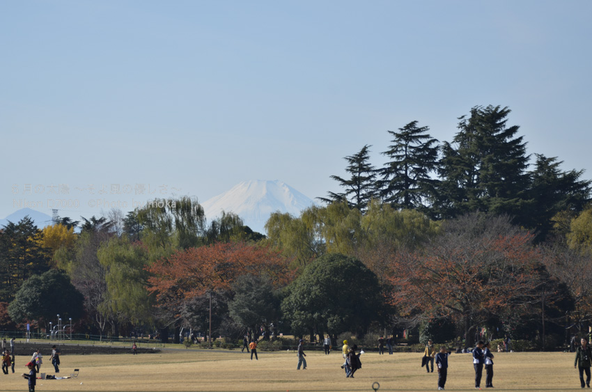 ［6］東京からも、富士山が綺麗に見える季節になりました！