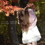 ［6］２０１３年の紅葉を最後まで満喫するために