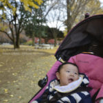 ［6］産まれて初めての秋、きれいな紅葉にご満悦