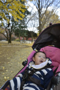 ［6］産まれて初めての秋、きれいな紅葉にご満悦