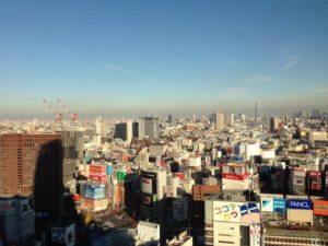 ［6］ニコンプラザ新宿から望む東京の街