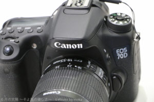 ［6］CANON EOS 70D　イチガン新世界　