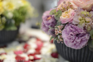 ［6］AF-S NIKKOR 58mm f/1.4G　高い点像再現性と自然なボケを両立