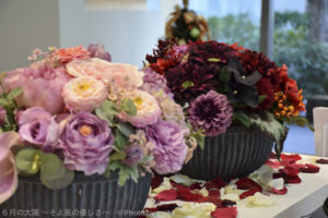 ［6］Nikon D5300の実力を肌で感じてきました！！