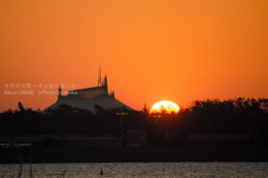 ［6］葛西臨海公園で、2014年の初日の出を撮る