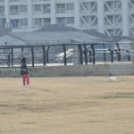 ［6］お正月は過ぎたけど凧を上げて遊びましょう