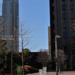 ［6］大都会東京を赤いスポーツカーで駆け抜ける！