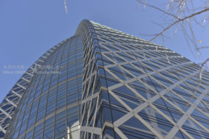 ［6］青空に向かってそびえ建つ、新宿の高層ビル