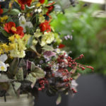 ［6］AF-S NIKKOR 58mm f/1.4Gで広がる今後の楽しみ！！