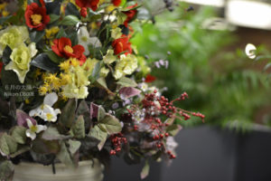 ［6］AF-S NIKKOR 58mm f/1.4Gで広がる今後の楽しみ！！