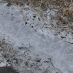 ［6］都心に降った雪は、翌日どうなる？？