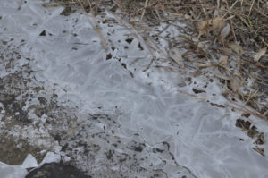 ［6］都心に降った雪は、翌日どうなる？？