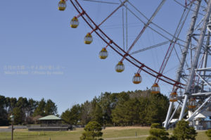 ［6］ダイヤと花の大観覧車に乗って関東平野を一望