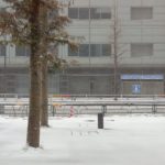 ［6］数十年ぶりの記録的大雪、、、喜んでいるのは子供と犬だけ！？