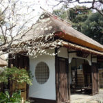 ［6］春を目の前に、、