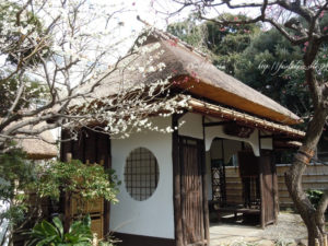 ［6］春を目の前に、、