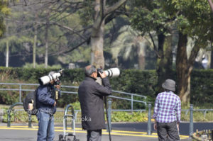 ［6］日比谷公園にスナイパー！？