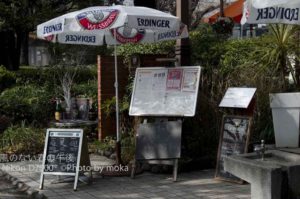 ［6］素敵なカフェ