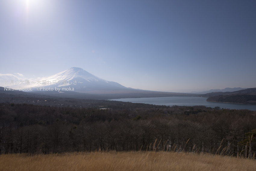 ［6］どうしても見たかった、富士山