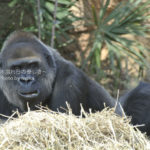 ［6］休日のお父さん（笑）